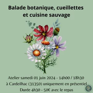 Affiche Balade botanique, cueillette et cuisine sauvage