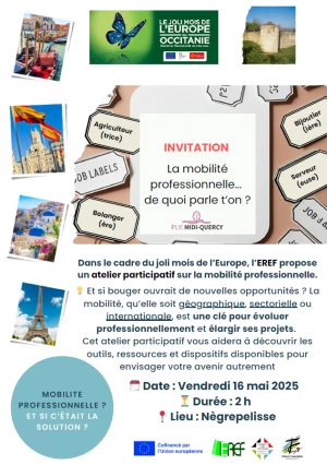 Affiche Atelier : Explorer la Mobilité Professionnelle pour Favoriser l'Insertion