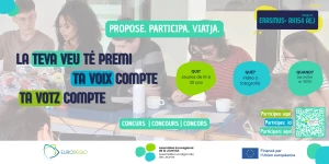 Affiche Concours "Ta voix compte" organisé par l'Assemblée Eurorégionale des Jeunes 