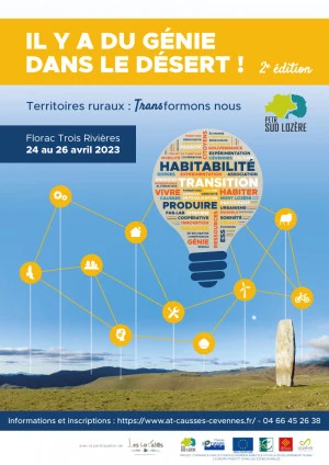 Affiche Il y a du Génie dans le Désert #2
